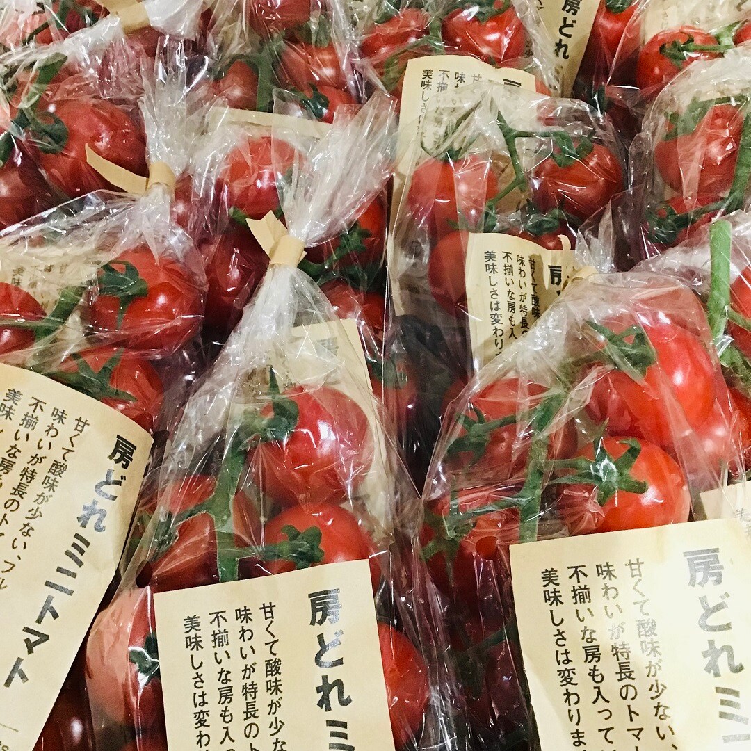 とまと