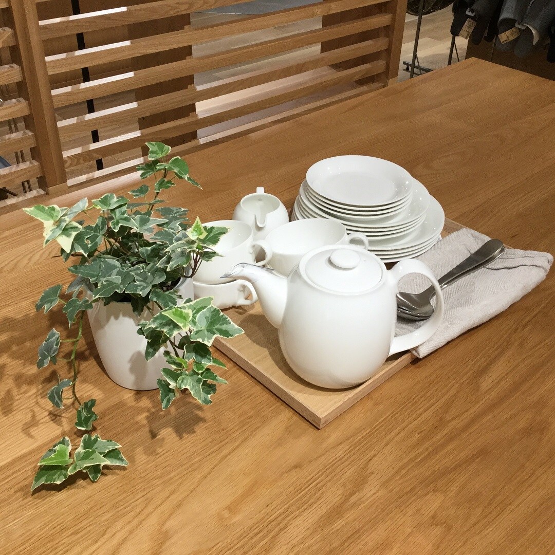 近鉄四日市】インテリアグリーン｜スタッフのおすすめ｜無印良品 近鉄