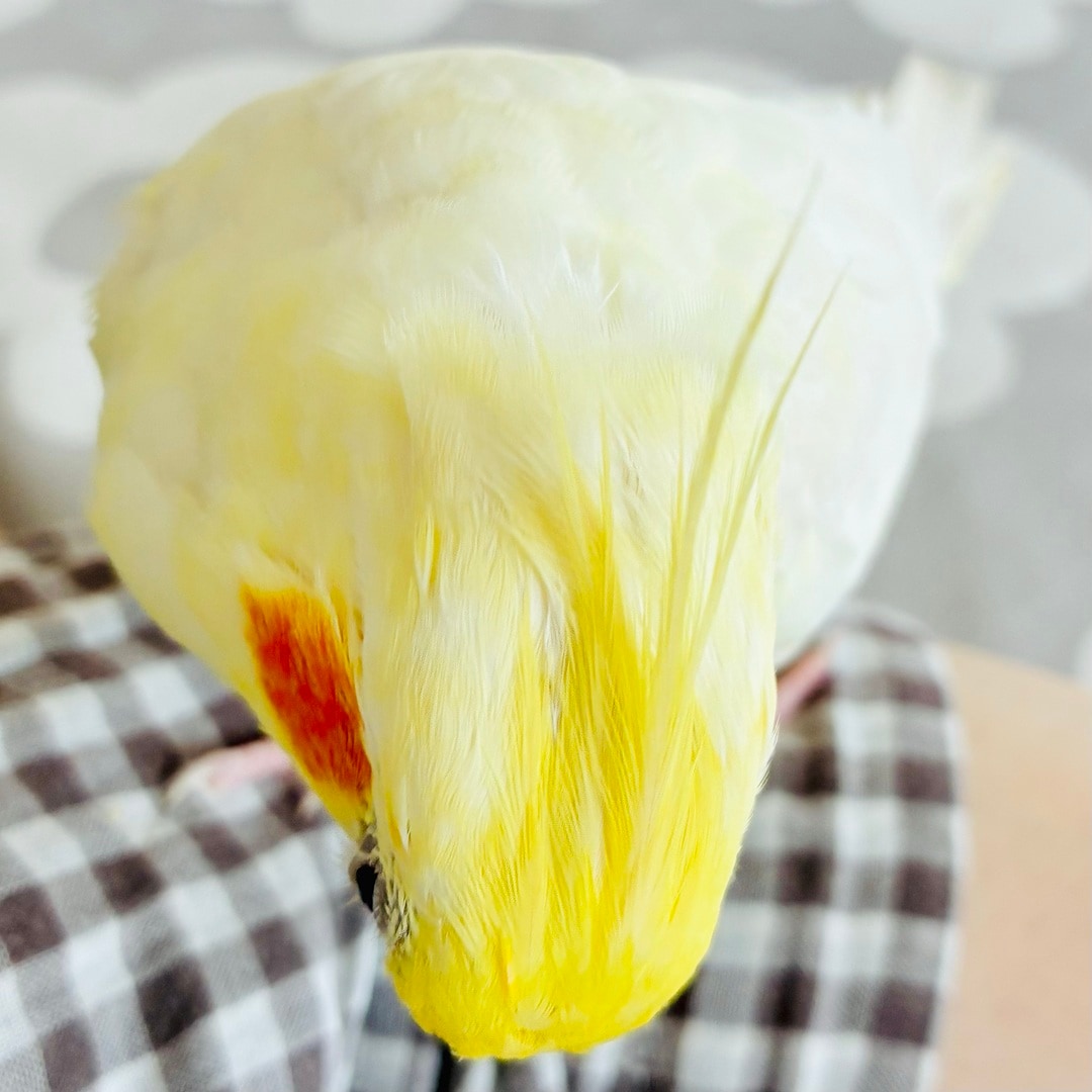 【静岡パルコ】値上がりします
