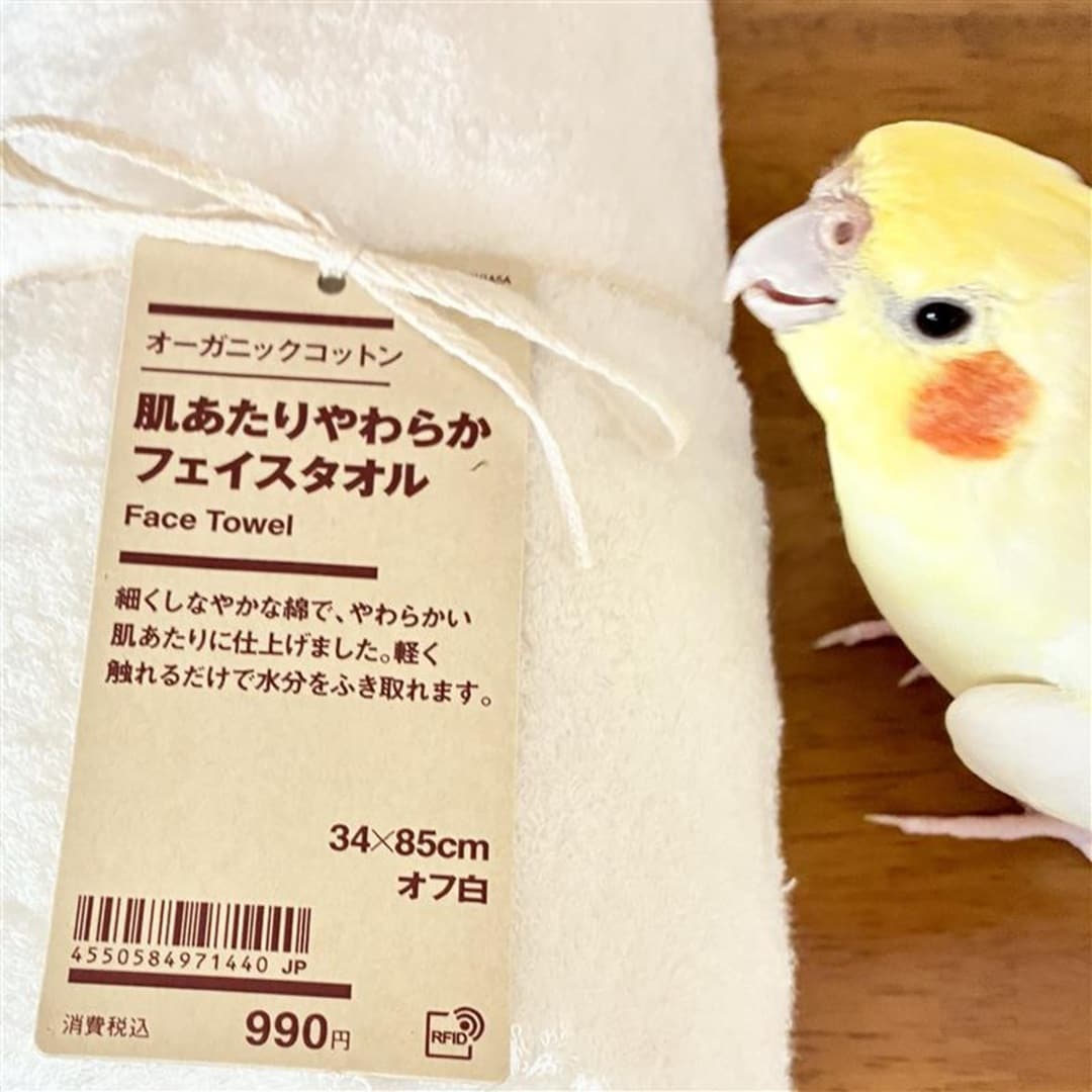 プレゼントしたいタオル