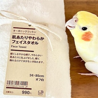 【静岡パルコ】プレゼントしたいタオル｜オカメ通信