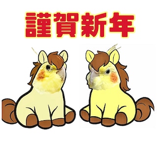 【静岡パルコ】馬とオカメとオイル|オカメ通信