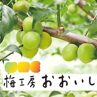 【静岡パルコ】6月20日（土）21日（日）開催！つながる市　出店者さま紹介　『梅工房おおいし』｜イベント