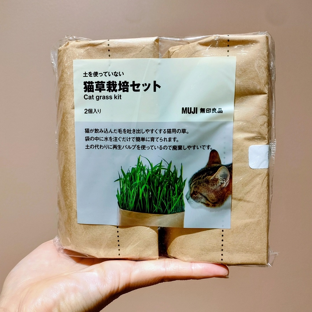スタッフおすすめ