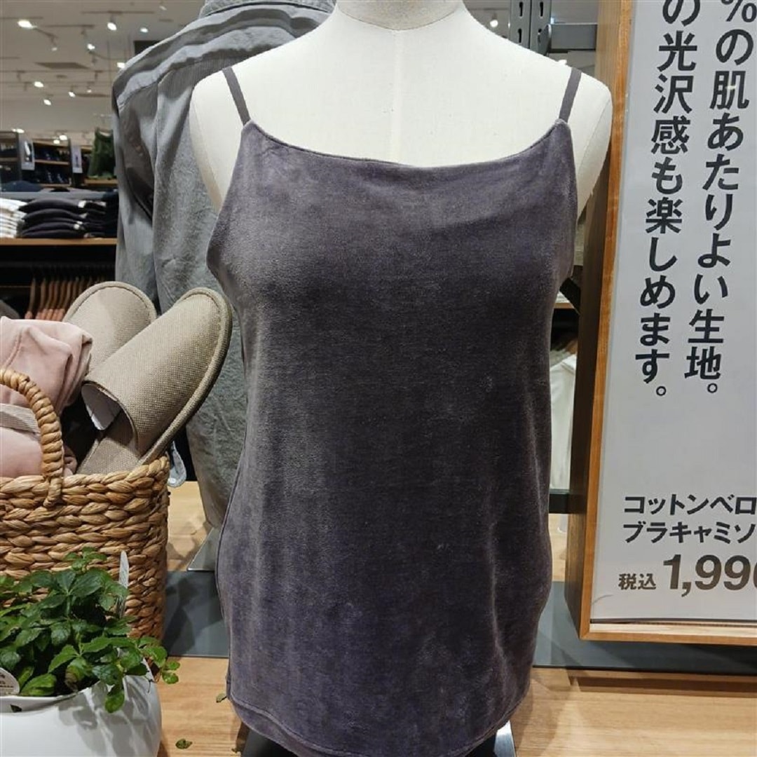 スタッフのおすすめ
