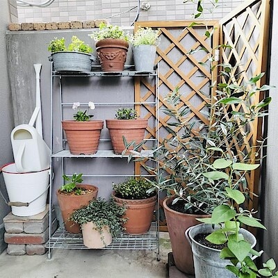 わたしのMUJI〜スタッフの愛用品をご紹介します②〜