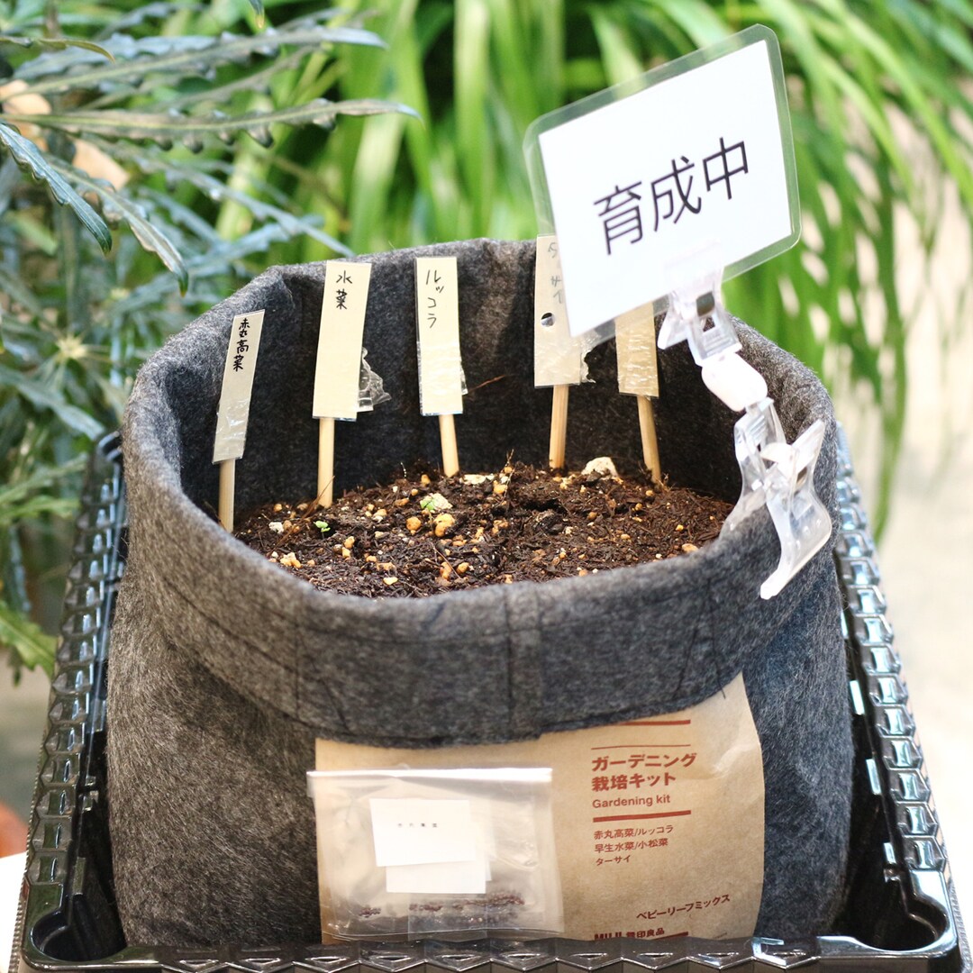 取りに来れる方限定！安心の1年保証付！2017年製8.0kg 無印良品「MJ-DW1」ドラム式洗濯機 無印良品(MUJI)の8.0kgドラム式洗濯機 2017年製「MJ-DW1」｜2020年02月