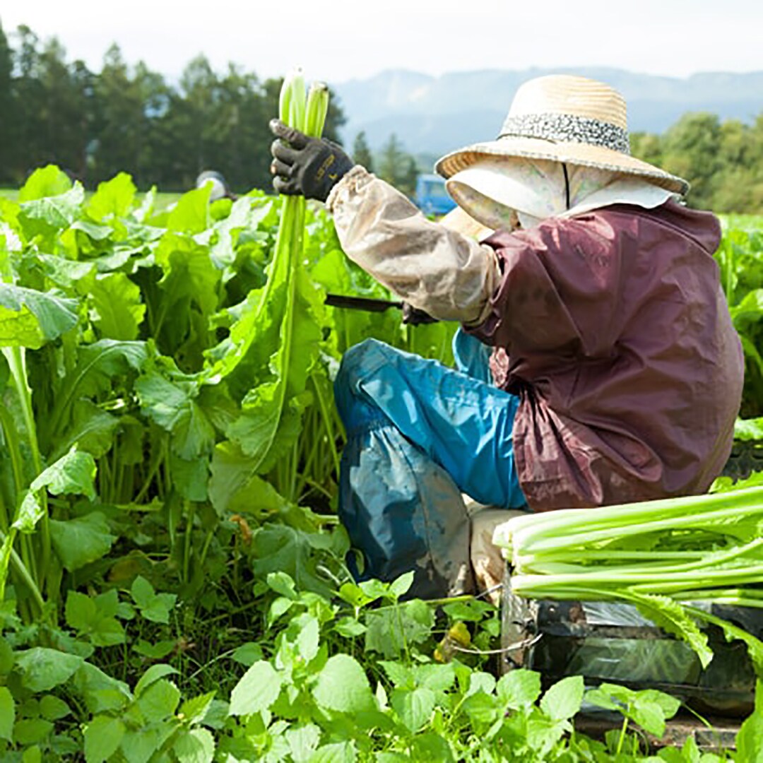 【東京有明】信州物産