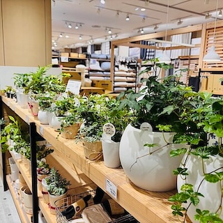 【イオンモール上尾】商品のご紹介