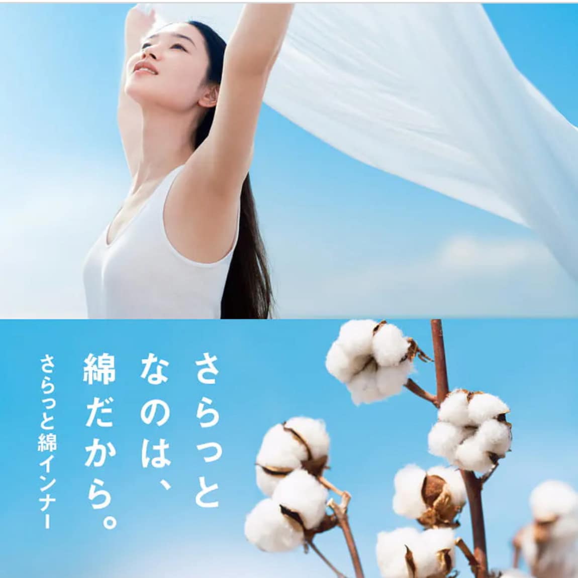 ageo