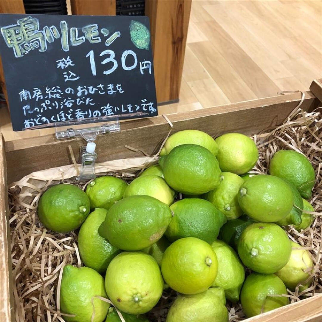 アリオ市原
