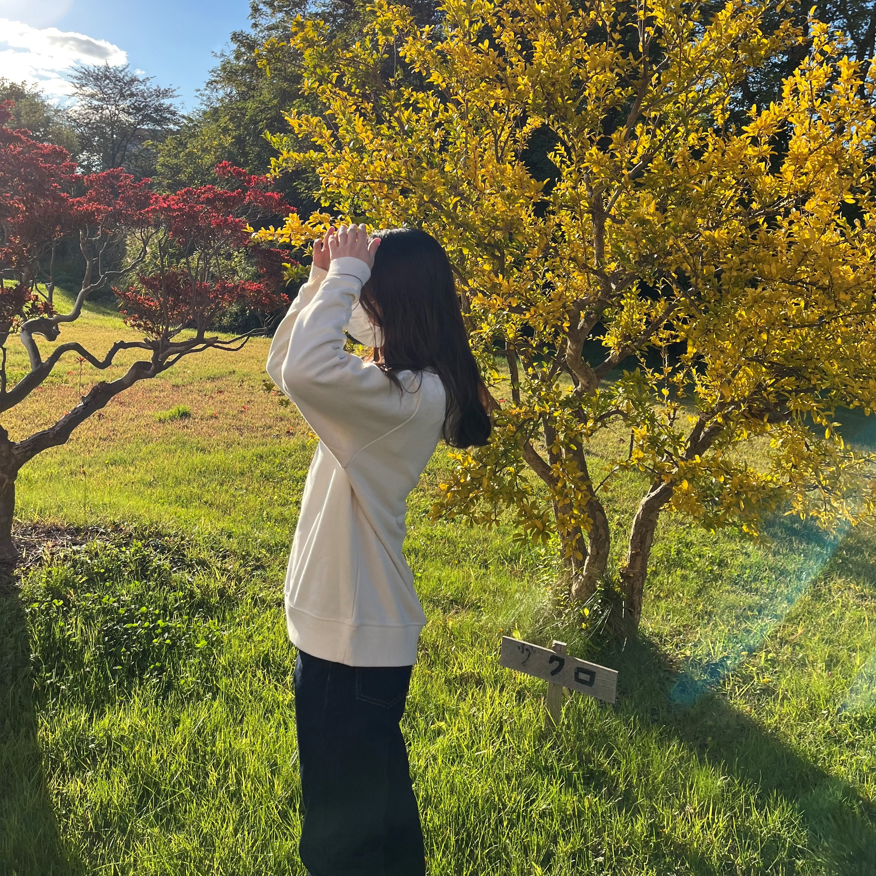 写真１