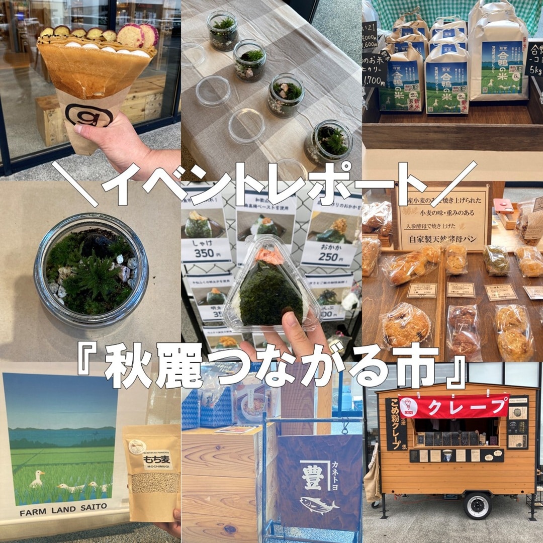 トップ