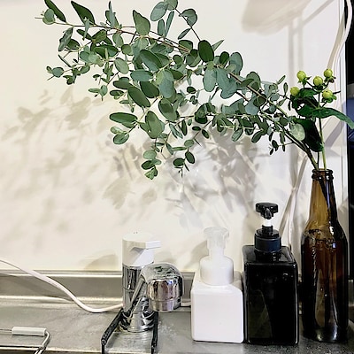 【グランツリー武蔵小杉】清涼飲料のビンを「花瓶」に