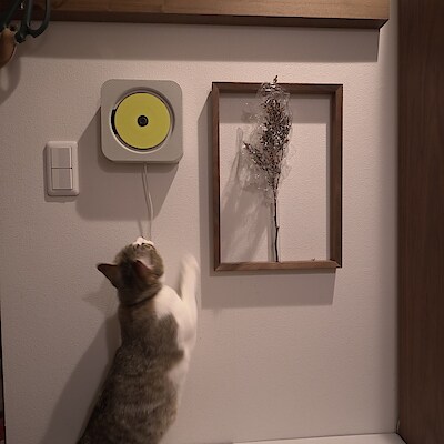 【グランツリー武蔵小杉】このCDプレイヤー、なんだか懐かしい聴き心地。