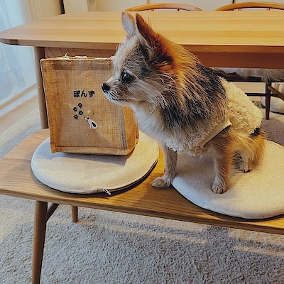 【グランツリー武蔵小杉】一緒に過ごせるベンチ