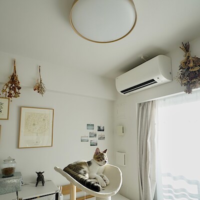 LED木製シーリングライト 調光調色機能付 6畳 | 無印良品 