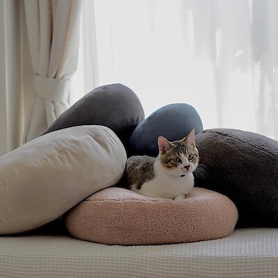 【グランツリー武蔵小杉】ふわふわもちもちな「マルチクッション」