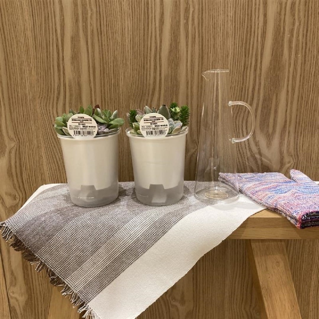 グリーン、水差し、軍手