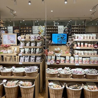 【アル・プラザ水口】〜桜シリーズ入荷しました〜