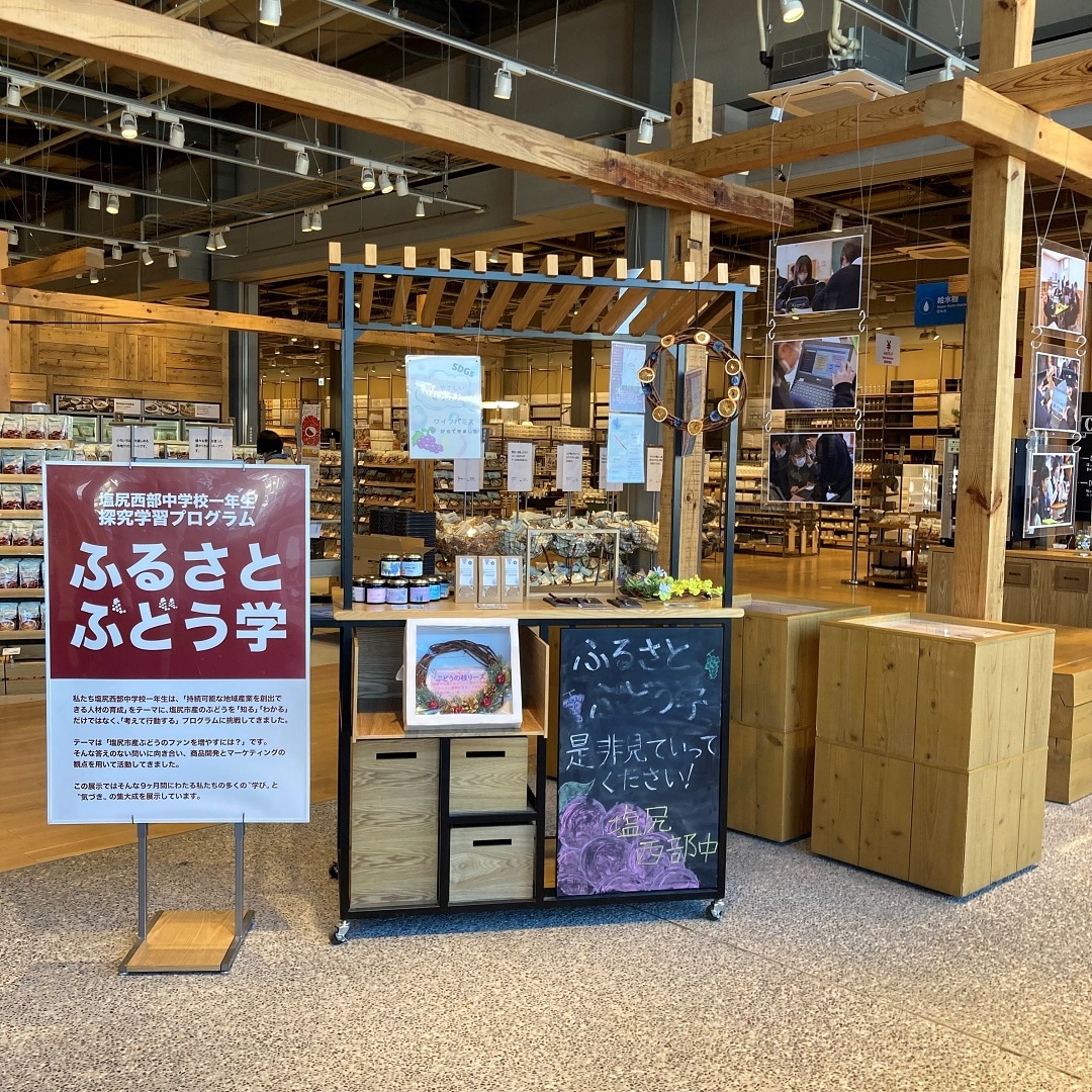 展示の全体の写真