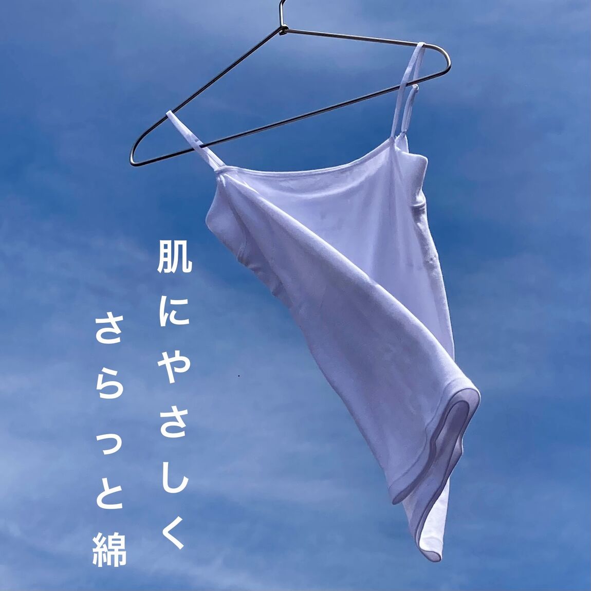 さらっと綿