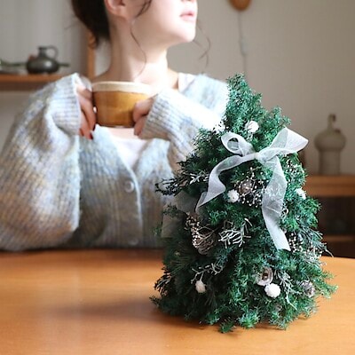 【イーアス春日井】pot主催「テーブルに乗っちゃう！クリスマスツリーを作ろう」ワークショップ