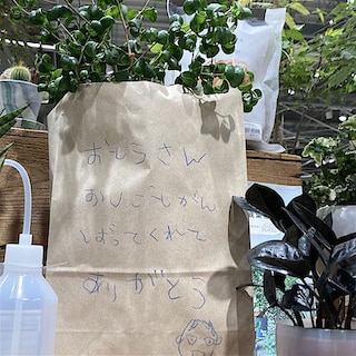 【ヨロッカ春日井】父の日にグリーンを贈りませんか