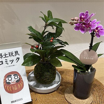 【イーアス春日井】　福を贈る　福を飾る