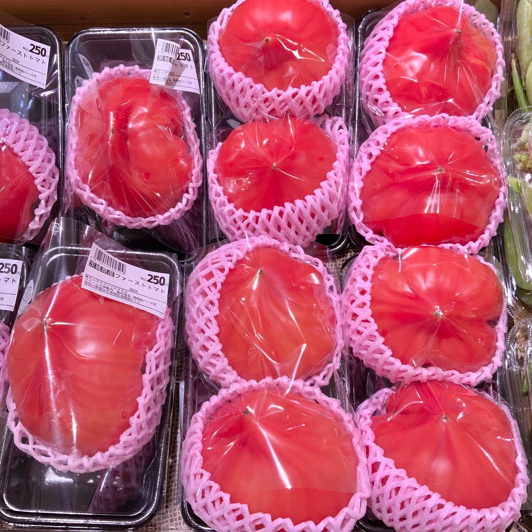 おすすめ042501_0.jpg