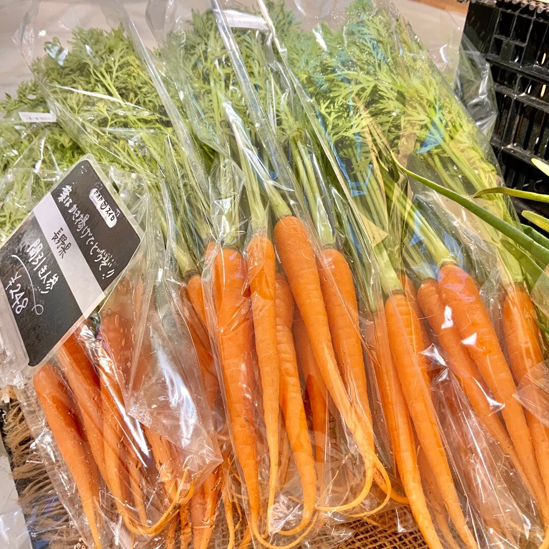 おすすめ043001.jpg 