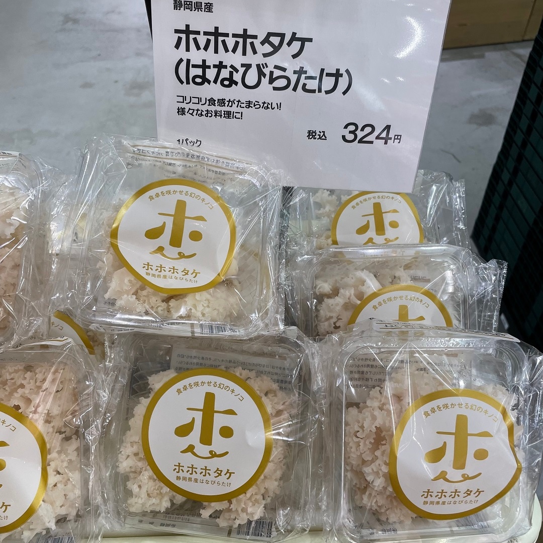 【港南台バーズ】コリコリ食感がおもしろい。静岡県産ホホホタケ | 港南台調査隊