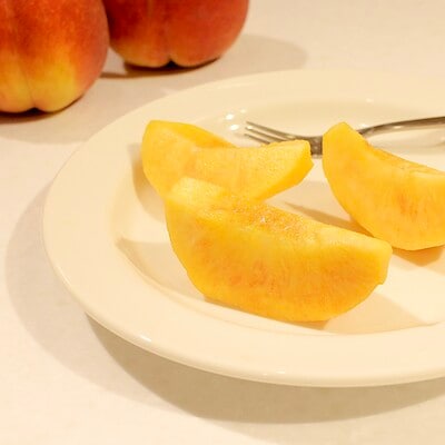【港南台バーズ】8月2、3日長野県須坂市ワッサーまつり
