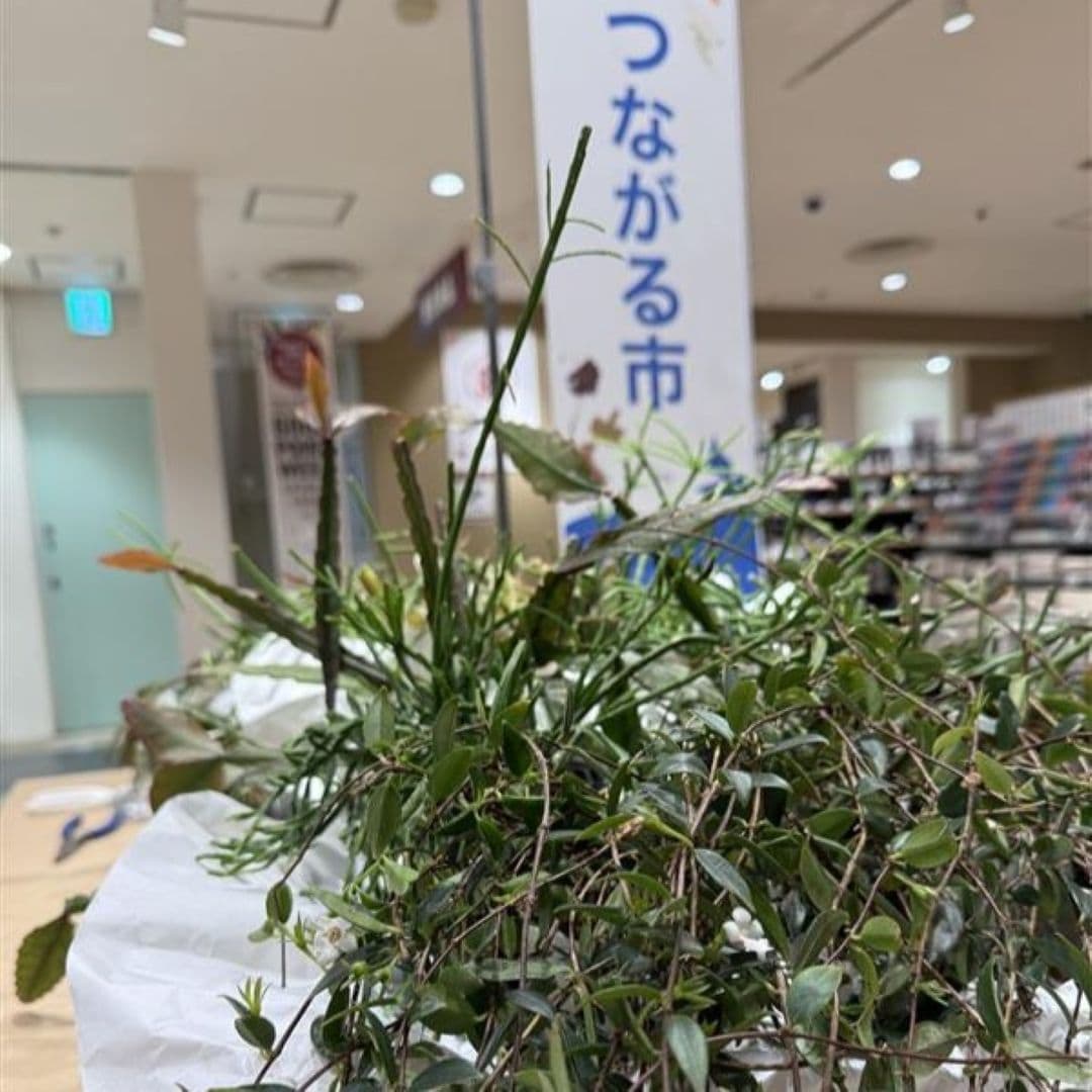 神戸阪急_レポート