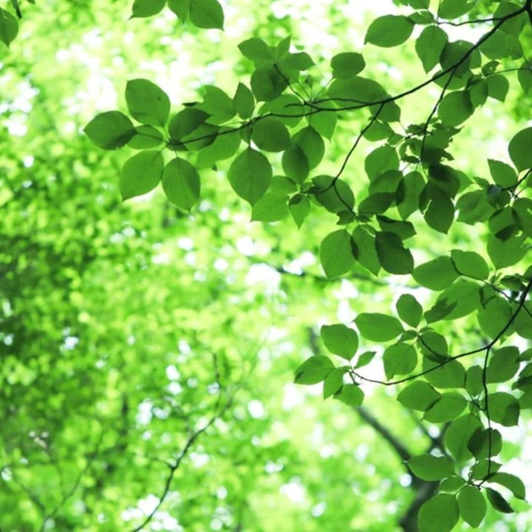 神戸阪急_予約受付