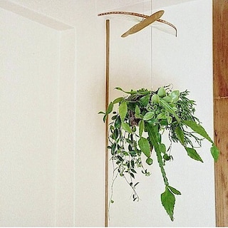 【神戸阪急】イベント予告。4/29(水・祝)-『ハンギンググリーンを空間に』〜器を使わないハンギンググリーンの寄せ植え〜