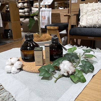 【宝塚阪急】心落ち着く冬の香り。冬季限定「ウィンターツリー」。