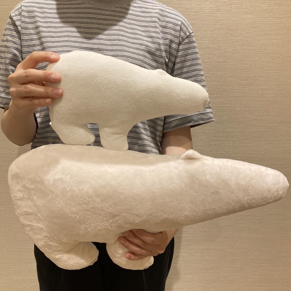キービジュアル