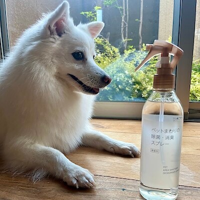 【アルプラザ金沢】スタッフのおすすめ｜ペットまわりの除菌・消臭スプレー