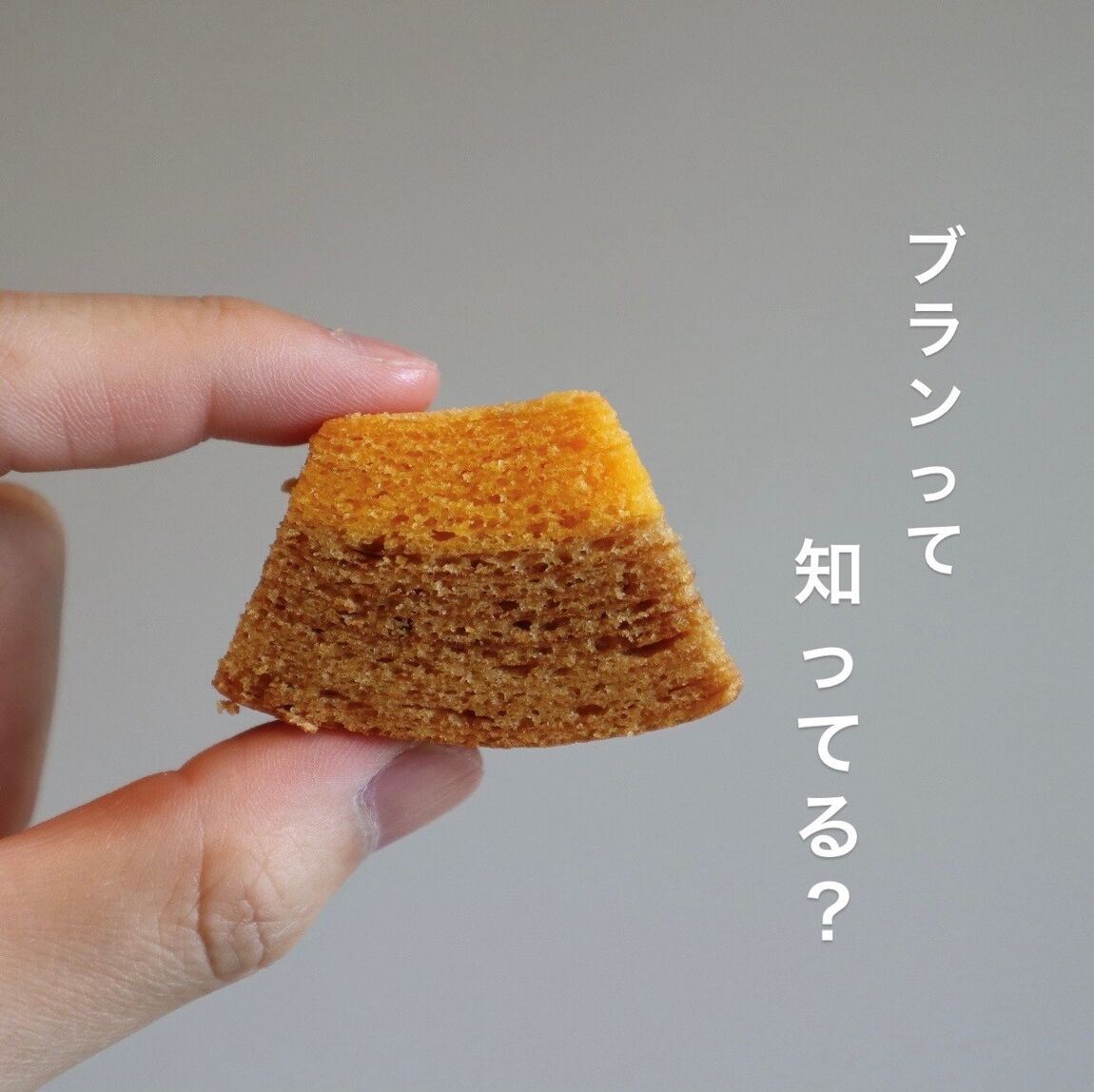 バウム
