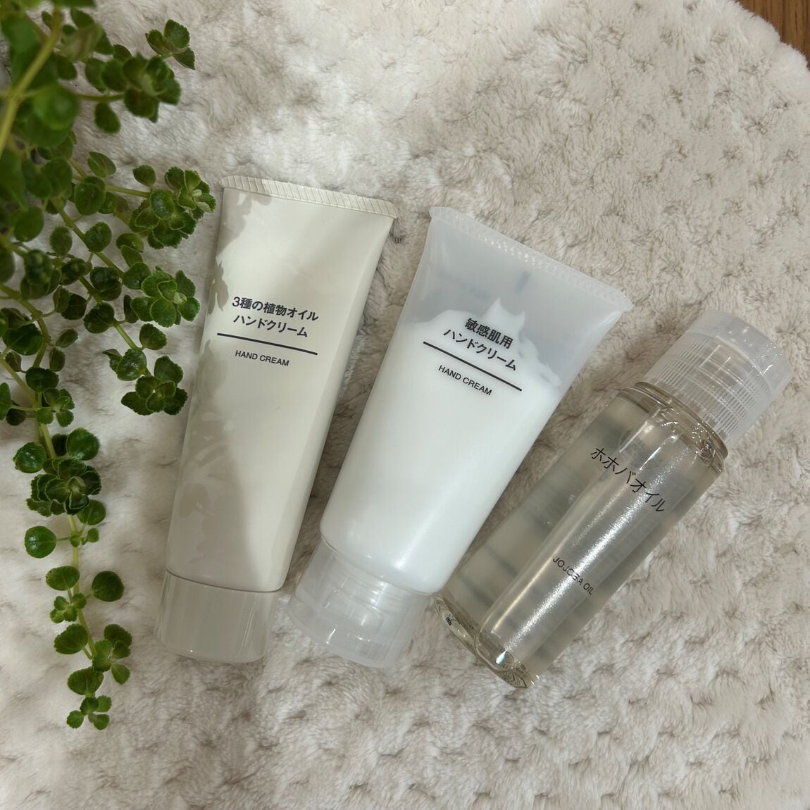 【アル・プラザ八日市】お試し会を行いました