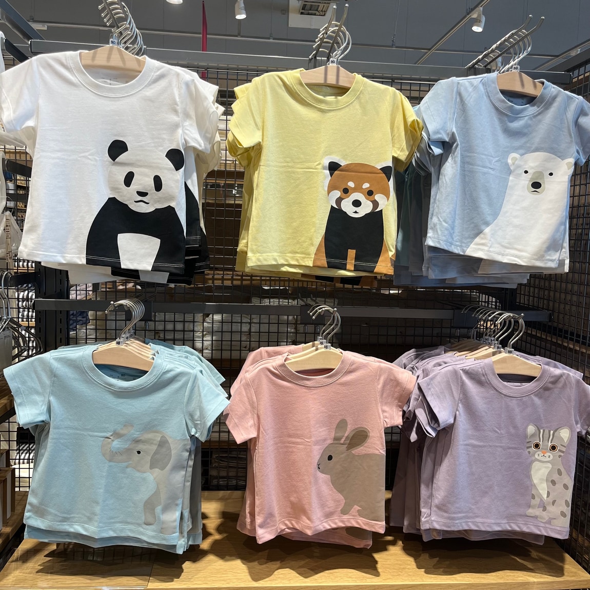 動物Tシャツ