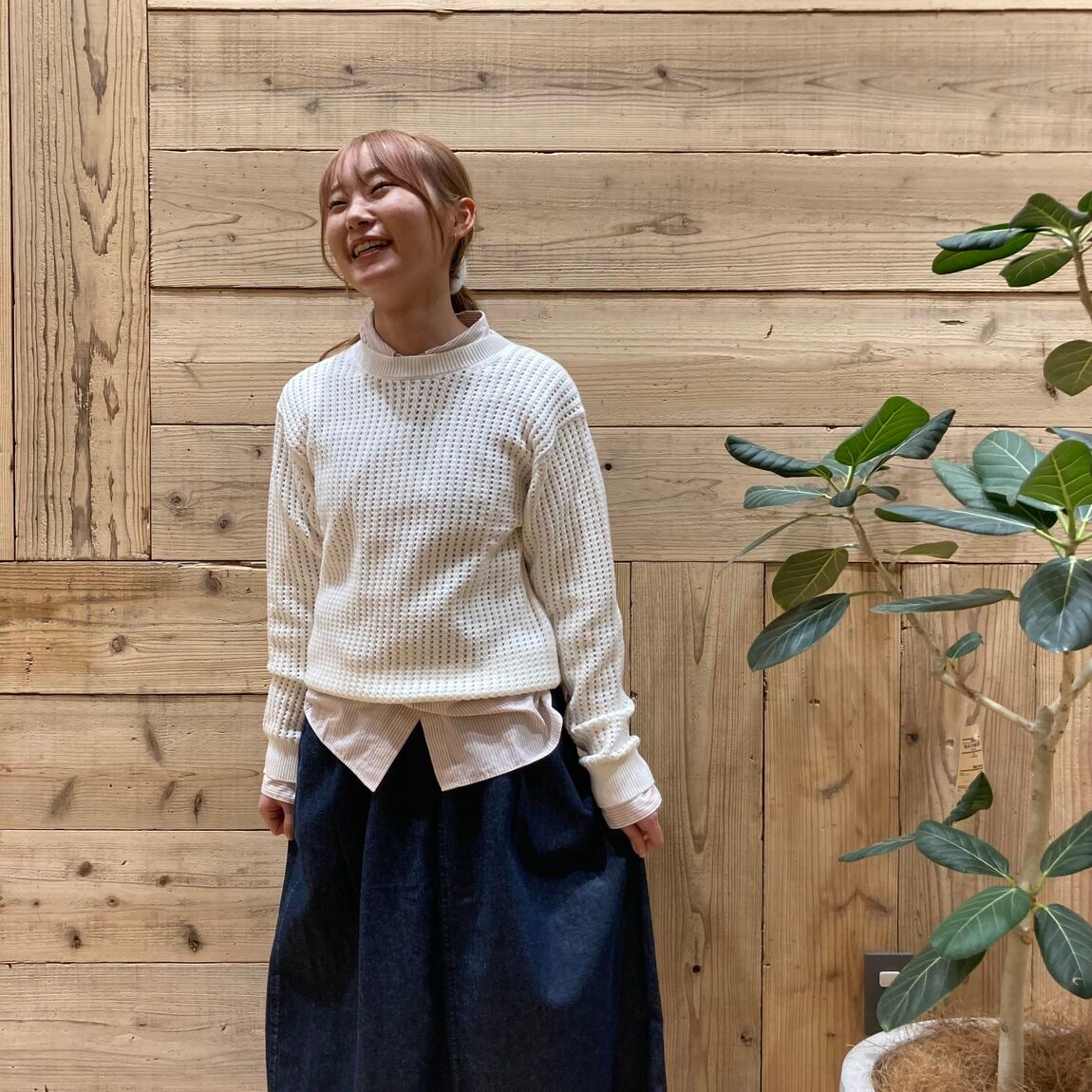 羽咋宝達志水　メッシュ