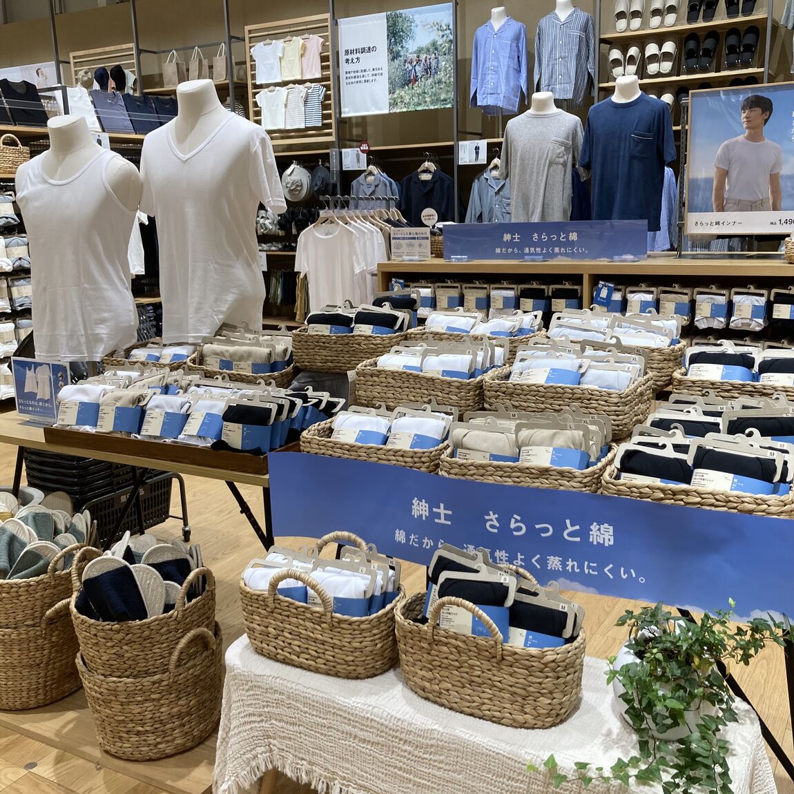 さらっと綿紹介