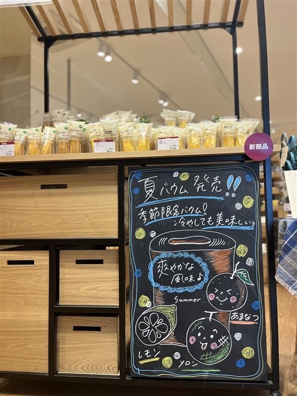 夏バウムTA