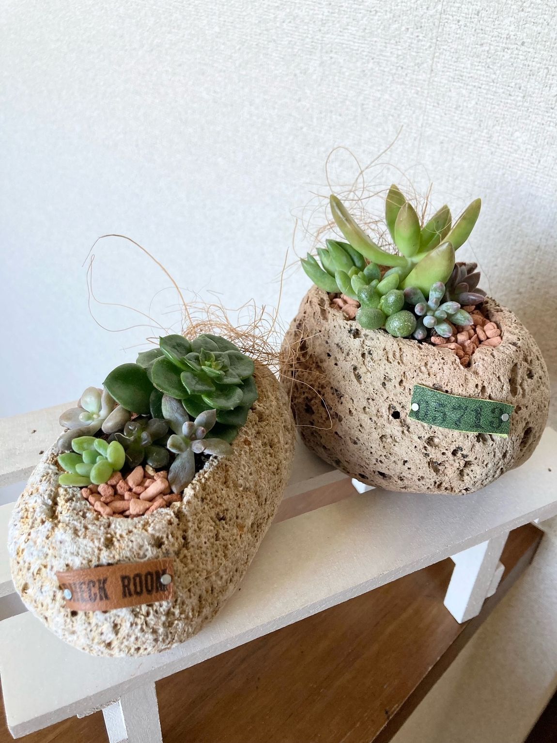 羽咋宝達志水】 多肉植物アレンジメントワークショップ 第二弾