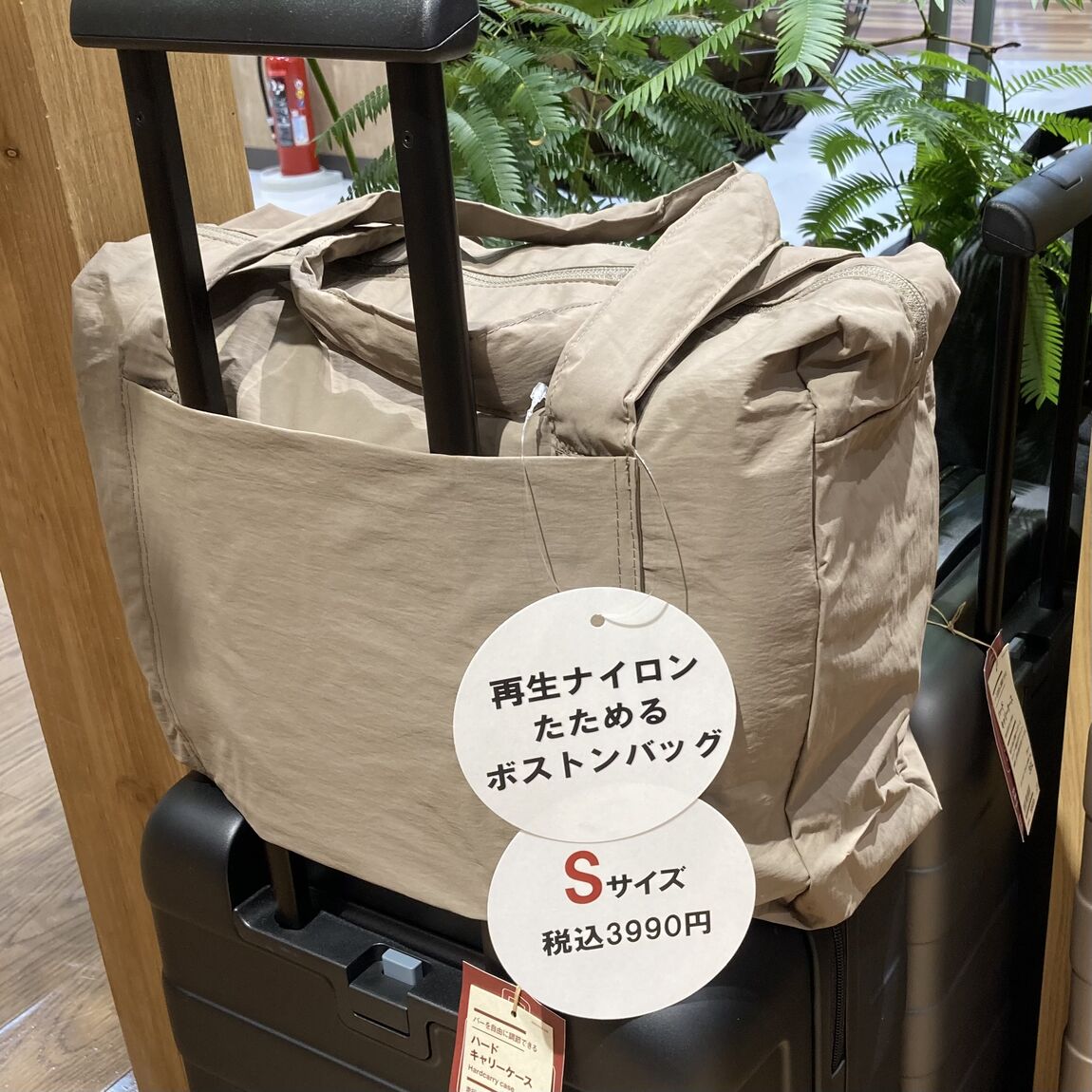 さむね