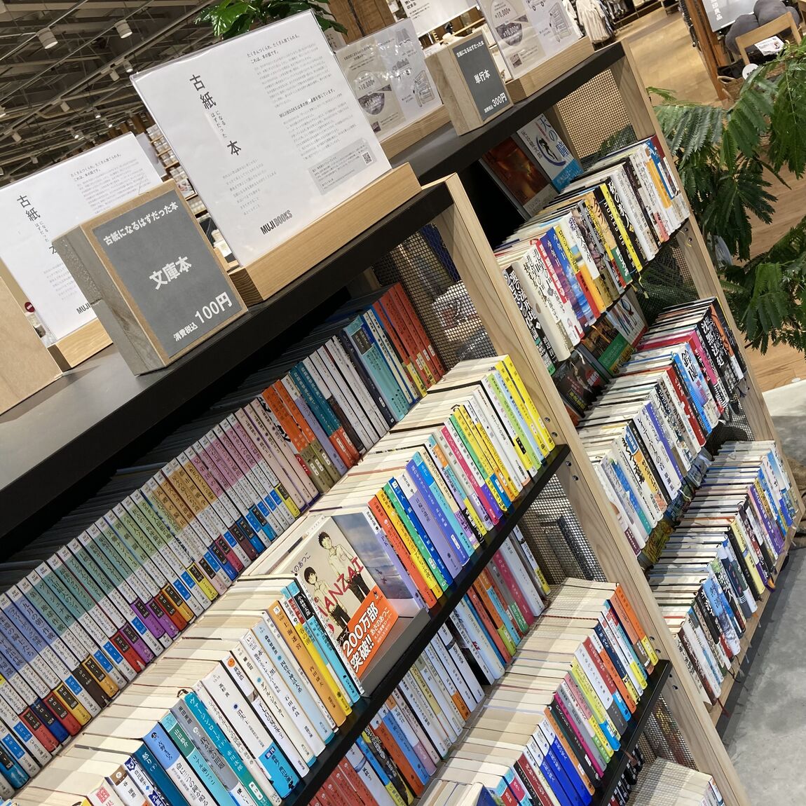 本コーナーの写真