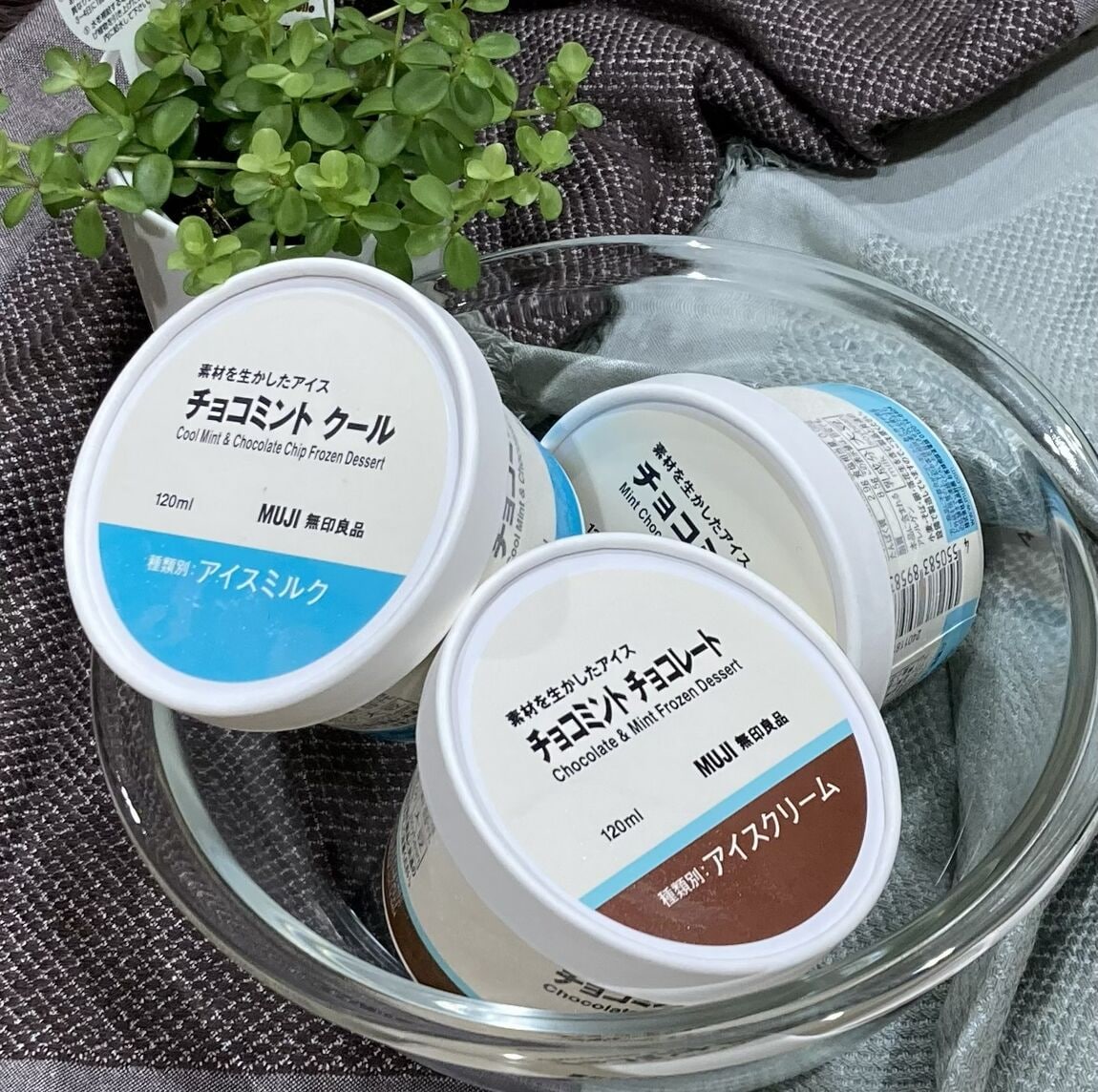 チョコミントアイスの写真