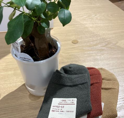 靴下の写真